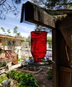 Perky-Pet 786-1SR Mason Jar Vintage Glass Hummingbird Feeder - Outdoor Garden Décor - 32-oz Red Mason Jar 43 81siW4ApMRL