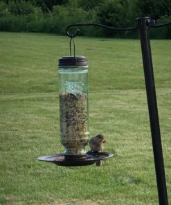 More Birds Songbird Vintage Bird Feeder, Sunflower and Thistle Feeder, 4 Feeding Ports, 1.5 lb Seed Capacity Vintage Glass 27 81skfxQYfHL