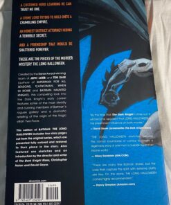 Batman: The Long Halloween Paperback 26 81slMjNlkHL