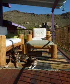 Advanced Hip & Joint Formula - 90 Mobility & Pain Relief Dog Chews - Glucosamine, Chondroitin, MSM, & Turmeric for Superior Joint Health Chewable 34 81smrNxWBL