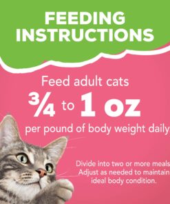 Purina Friskies Wet Cat Food Pate - 5.5 oz. Can Salmon Dinner 5.5 Ounce (Pack of 24) 30 81sqJNa5bZL