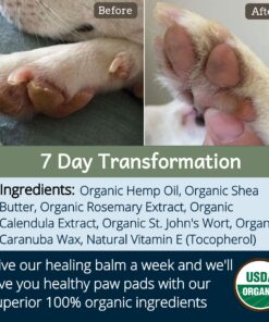 4Legger Certified Organic Nose & Paw Pad Healing Balm Unscented for Dry Chapped and Cracked Paw Pads, Elbows, Snout, Dry Skin with Hemp Oil, Vegan Wax, Calendula & Shea Butter - Made in USA - 1.9 oz 22 81swG1ZP93L 1