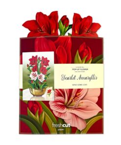 Freshcut Paper Pop Up Cards, Scarlet Amaryllis, 16 inch Life Sized Forever Flower Bouquet 3D Popup Christmas, Winter, Holiday Greeting Cards with Note Card and Envelope - Christmas Decorations 12 81swXHU6niL