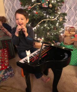 Qaba 37-Key Kids Toy Keyboard Piano Musical Electronic Instrument Grand Piano with with Microphone, Stool, MP3, U-Disk, Lights for 3-6 Years, Black 17 81swtnkr4DL