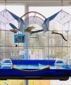 Prevue Hendryx Triple Roof Cockatiel Cage, Blue and White Blue & White 14 81t zIIPBTL 3