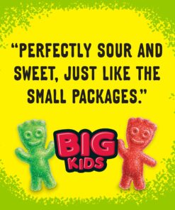 SOUR PATCH KIDS Big Individually Wrapped Soft & Chewy Candy, Christmas Candy Stocking Stuffers, 240 Count Box Mixed-Fruit 42 81t0E4WtWML