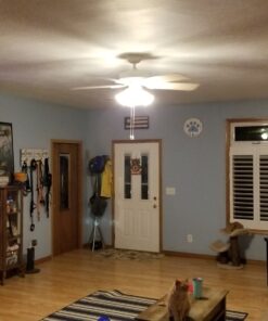 PARMIDA (12 Pack) 5/6 Inch Dimmable LED Disk Light Surface Flush Mount 15W, UL Listed, Recessed Retrofit Ceiling Lights, Energy Star, Installs into Junction Box Or Recessed Can,1050lm - 3000K 3000k (Soft White) 47 81t2mbKNRiL