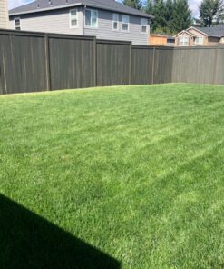Scotts Turf Builder Lawn Food - Fertilizer for All Grass Types, 5,000 sq. ft., 12.5 lbs. 5,000 sq. ft. 59 81tB0raIbQL