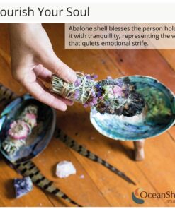 Natural Abalone (Pāua) Shell, with Stand,6-6.5 Inches,Supreme for Smudging,Cleansing Home,Meditation,Shell Crafts,Incense Holder,100% Natural, Sustainably Sourced by Ocean Shell Studios NZ 6"-6.5" 24 81tBPbcLvwL