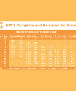 IAMS Smart Puppy Large Breed Dry Dog Food with Real Chicken, 30.6 lb. Bag 30.6 Pound (Pack of 1) 33 81tCGO UK L