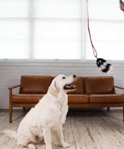 Outward Hound Tail Teaser Durable Dog Wand with Soft Plush Toys 25 81tEPiXxlhL