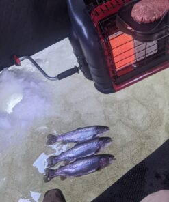 Mr. Heater Buddy Series Hose Assembly - 10-ft., Model# F273704 One Size 34 81tH1W2PIBL