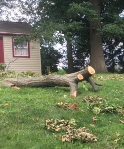 BLACK+DECKER 20V MAX Chainsaw Kit, Cordless, 10 inch, Tool-Free Chain Tensioning, Oil Lubrication System, Battery and Charger Included (LCS1020) 20V Chainsaw Kit 49 81tJD4D9 IL