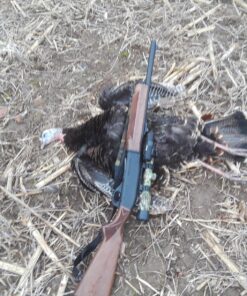 AVIAN-X LCD Breeder Hen Turkey Decoy | Durable Realistic Lifelike Collapsible Standing Hunting Decoy with Carry Bag & Stake, AVX8008 27 81tJPufgL