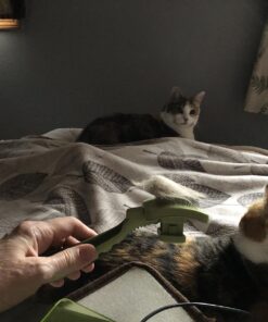 Coastal Pet Safari - Cat Self-Cleaning Slicker Brush - Cat Grooming Supplies Pack of 1 31 81tMAWAMDvL