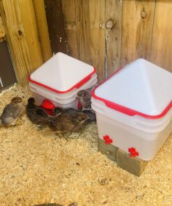 RentACoop 2 Gallon Chicken BPA-Free Plastic Bucket Waterer Set with 4 Horizontal Nipples - Corner Placement 37 81tOksilDL