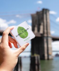 Simply Gum | Peppermint | Pack of Six (90 Pieces Total) | Plastic Free + Aspartame Free + non GMO 24 81tQlQlD80L 1
