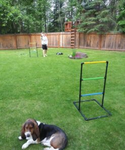 GoSports Ladder Toss Indoor & Outdoor Game Set with 6 Soft Rubber Bolo Balls and Travel Carrying Case - Choose Pro or Classic Classic Ladder Toss 28 81tVyGDp7CL