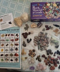 DANCING BEAR Rock, Mineral & Geodes Treasure Hunt Activity Kit (200 Pc Set) Real Shark Teeth Fossils, ID Sheet & Rock Book, STEM Rock, Mineral & Geodes Collection 48 81tc SerOaL
