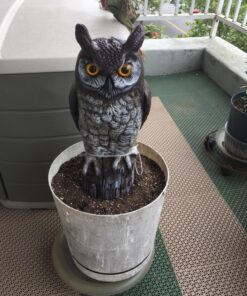 Dalen Fake Owl Decoy to Scare Birds Away from Gardens, Rooftops, and Patios - Scarecrow Provides Chemical-Free Pest Control - Safe and Humane, 16" Great Horned Owl 40 81tdHdbBUnL