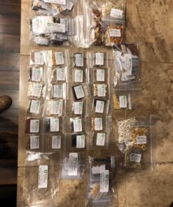 Survival Essentials Ultimate Heirloom Seed Vault, 144 Variety Packed in Superior Ammo Can, Over 23k Garden Seeds for Planting Vegetables and Fruits, for Survival and Emergency Supply, Non-GMO 29 81tdlrexavL