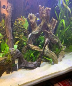 Marina Decor Mangrove Root, Large 49 81tgfRTf15L