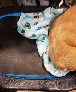 Stamina Fitness Trampoline - Exercise Trampoline with Smart Workout App - Indoor Trampoline Fitness Rebounder 45-Black/Blue One Size 23 81tia94HmNL