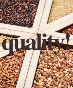 Schar - SCH'NACKS Snack Cakes - Certified Gluten Free - No GMO's, Wheat or Preservatives - (12.3 oz) 3 Pack 11 81tinpOKDKL