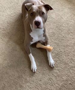 Nylabone Power Chew Knuckle Bone Big Dog Chew Toy Knuckle Chicken XX-Large/Monster (1 Count) XX-Large/Monster (1 Count) Natural 40 81tjBp0DykL