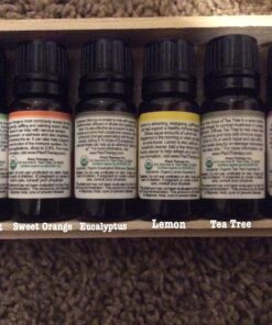 Plant Therapy Top 6 USDA Organic Essential Oil Set - Lavender, Peppermint, Eucalyptus, Lemon, Tea Tree 100% Pure, Natural Aromatherapy, for Diffusion & Topical Use, Therapeutic Grade 10 mL (1/3 oz) Top 6 Organic 0.33 Fl Oz (Pack of 6) 37 81tk FfDWgL