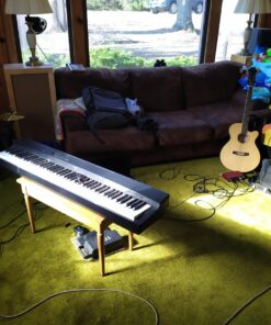 Casio Privia PX-160BK 88-Key Full Size Digital Piano with Power Supply, Black 41 81tkBysCbQL