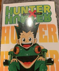 Hunter x Hunter, Vol. 1 Paperback 18 81tldHs76yL