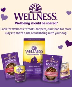 Old Mother Hubbard by Wellness Classic Natural Puppy Treats, Crunchy Oven-Baked Biscuits, Ideal for Training, Mini Size Dog Treats, 20 ounce bag 16 81tnB6aQd0L 2