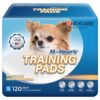 Honey Care All-Absorb, Small 17.5" x 23.5", 120 Count, Dog and Puppy Training Pads, Ultra Absorbent and Odor Eliminating, Leak-Proof 5-Layer Potty Training Pads with Quick-Dry Surface, Blue, A05 2 81tptBqX aL