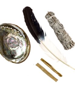 Feather Fanning Kit with Abalone Shell, Medium California White Sage, and Palo Santo Multicolor 12 81tsWFPlenL
