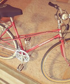 Allen Sports Deluxe 2-Bike Hitch Mount Rack , Silver/Black (522RR) Bike Carrier 73 81tw31IAZbL