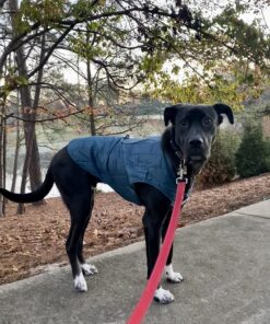 Kurgo Loft Dog Jacket, Reversible Dog Coat, Wear with Harness or Sweater, Water Resistant, Reflective, Winter Coat For Large Dogs (Ink Blue, L) Ink Blue/Seaglass 29 81ty47C6EBL