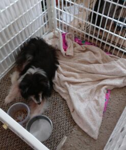 IRIS USA 24-inch Exercise 4-Panel Pet Playpen with Door, White 4 Panel w/ door 44 81u C1yvLEL