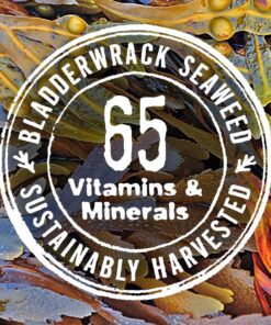 Seaweed Bath Co. Balance Shampoo, Eucalyptus Peppermint Scent, 12 Ounce, Sustainably Harvested Seaweed, Pro Vitamin B5, For Normal to Oily Hair 12 81u g8Rc7kL