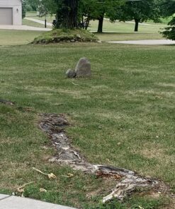 Emsco Group Landscape Rock – Natural Sandstone Appearance – Small – Lightweight – Easy to Install 38 81u3bVIrPlL