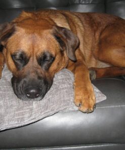 Pedigree Adult Canned Wet Dog Food Chopped Ground Dinner Combo with Chicken, Beef & Liver Flavor, 22 oz. Cans (Pack of 12) 29 81u3w3aK4hL