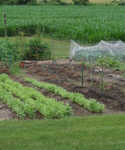 Craft And Party, Silver Fabric Tulle Roll 54 Inch by 40 Yards (120 ft) Fabric Tulle Bolt for DIY Tutu Skirt, Wedding and Decoration (Silver) 54" x 40 yards 33 81u5EXkdMDL