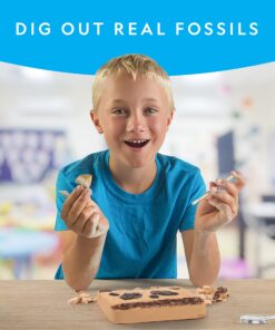 Alternative view of NATIONAL GEOGRAPHIC Mega Fossil Dig Kit - Excavate 15 Genuine Prehistoric Fossils, Kids Educational Toys, Great Science Kit Gift for Girls and Boys (Amazon Exclusive)