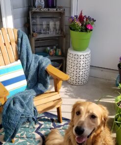 Best Choice Products Folding Adirondack Chair Outdoor Wooden Accent Furniture Fire Pit Lounge Chairs for Yard, Garden, Patio w/ 350lb Weight Capacity - Brown Natural 50 81uAGV8kQSL