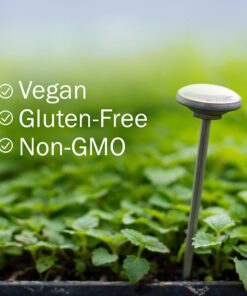 Herb Pharm Certified Organic Cilantro Extract for Cleansing and Detoxification Support - 1 Ounce 1 Fl Oz (Pack of 1) 22 81uChfSO8xL