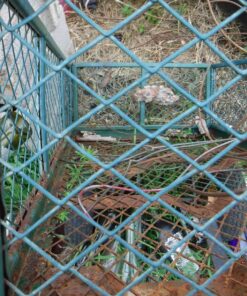 Gorilla Carts GOR1001-COM Steel Utility Cart, Heavy-Duty Convertible 2-in-1 Handle and Removable Sides, 7 cu ft, 1000 lb, Capacity, Gray, 1 pack 77 81uDouOR14L