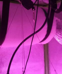 VIVOSUN Ventilation Kit 4 Inch 203 CFM Inline Duct Fan with 4"x 14" Carbon Filter Odor Control System with Australia Virgin Charcoal for Grow Tent Ventilation Z4 w/ carbon filter 54 81uFVkJP1 L