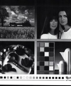 Brother MFCL2700DW All-In One Laser Printer with Wireless Networking and Duplex Printing, Amazon Dash Replenishment Enabled 23 81uGiyaqAhL