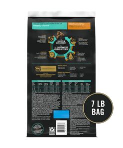 Purina Pro Plan With Probiotics, High Protein Dry Kitten Food, Chicken & Rice Formula - 7 lb. Bag 25 81uHcDNHrMS