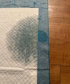 American Kennel Club Scented Puppy Training Pads with Ultra Absorbent Quick Dry Gel – 22 x 22 Puppy Pads - Fresh Scented - Pack of 50 22" x 22" - Pack of 50 24 81uJ075TkGL